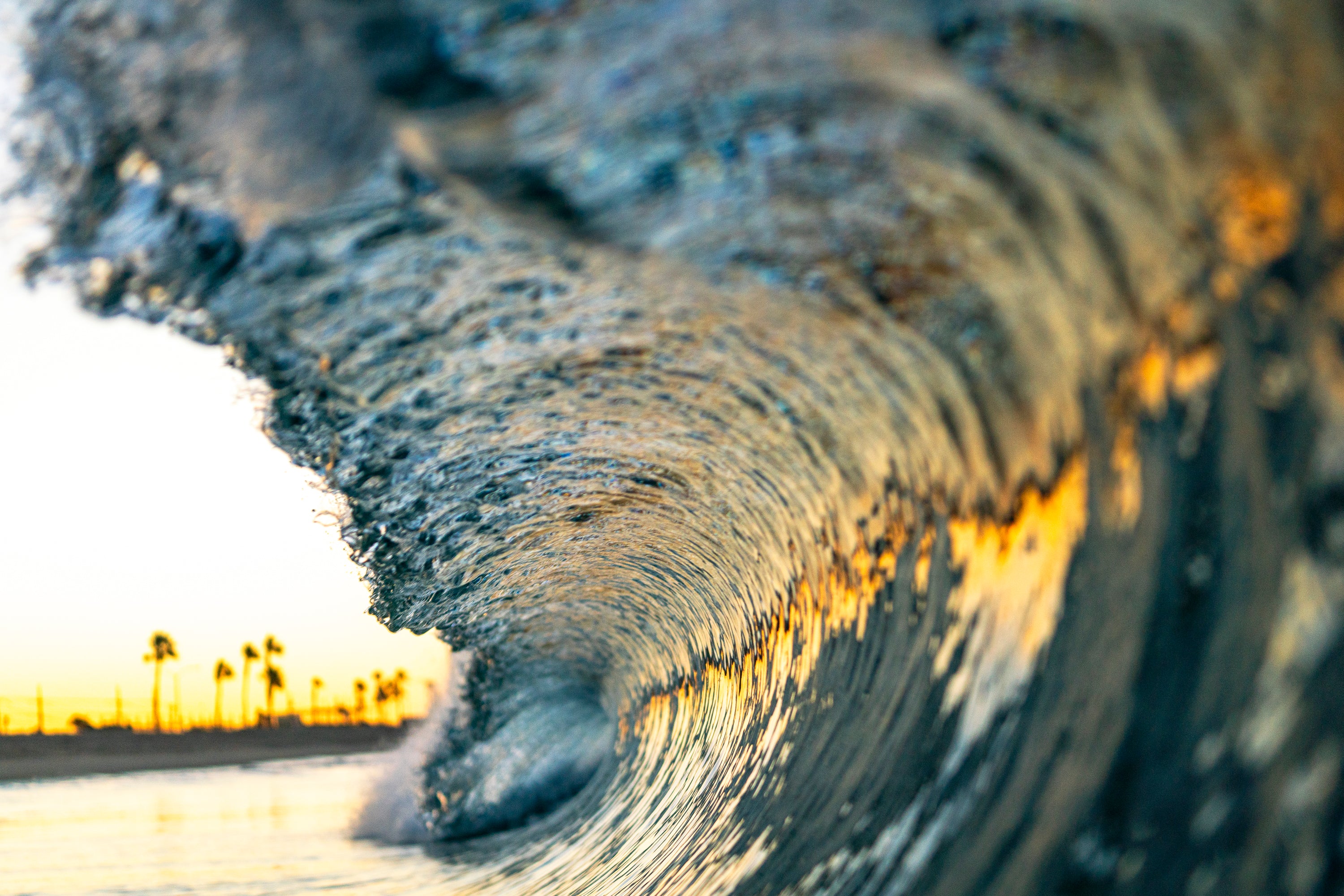 Close-up of a beautiful curling wave with a blurred background. Carlsbad, California. South Carlsbad State Beach.