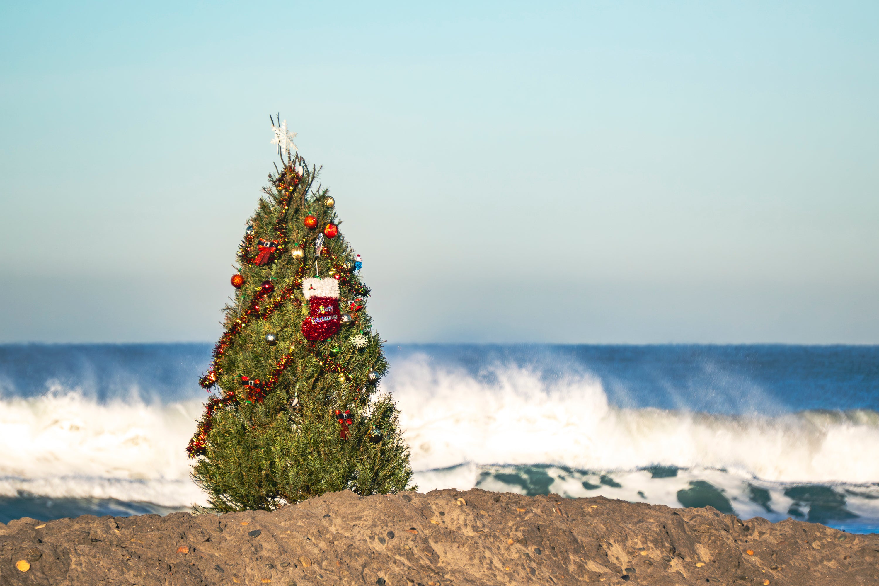 Decorated Christmas tree at Seaside Reef in Cardiff, Encinitas, California with ocean waves in the background.