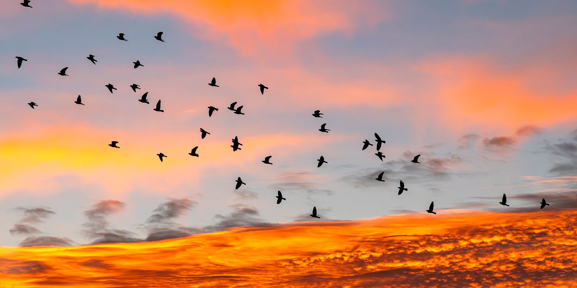 Excited about Carlsbad!