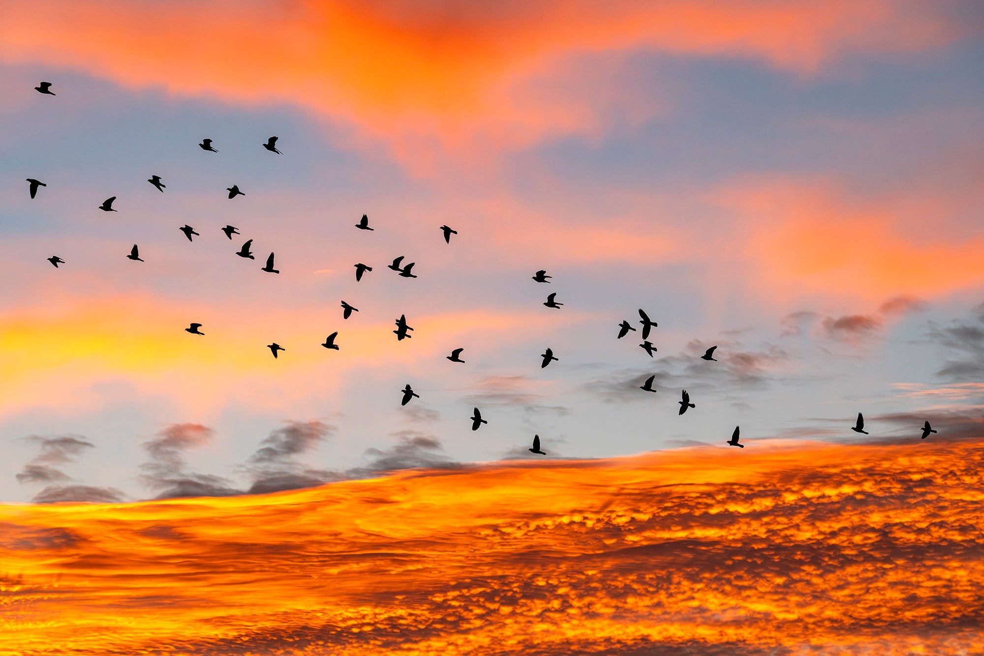 Excited about Carlsbad!