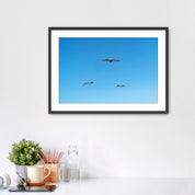Framed artwork of birds flying in a blue sky on a white wall.