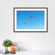 Framed artwork of birds flying in a blue sky on a white wall.