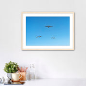 Framed artwork of birds flying in a blue sky on a white wall.