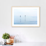 Framed artwork of two pelicans over water in Carlsbad, California, placed over a desk.