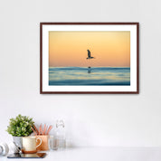 Framed photograph of a pelican over water in sunrise light, displayed on a wall above a desk.