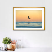 Framed photograph of a pelican over water in sunrise light, displayed on a wall above a desk.