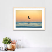 Framed photograph of a pelican over water in sunrise light, displayed on a wall above a desk.