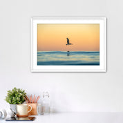 Framed photograph of a pelican over water in sunrise light, displayed on a wall above a desk.