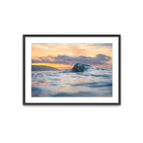 Sea Mount