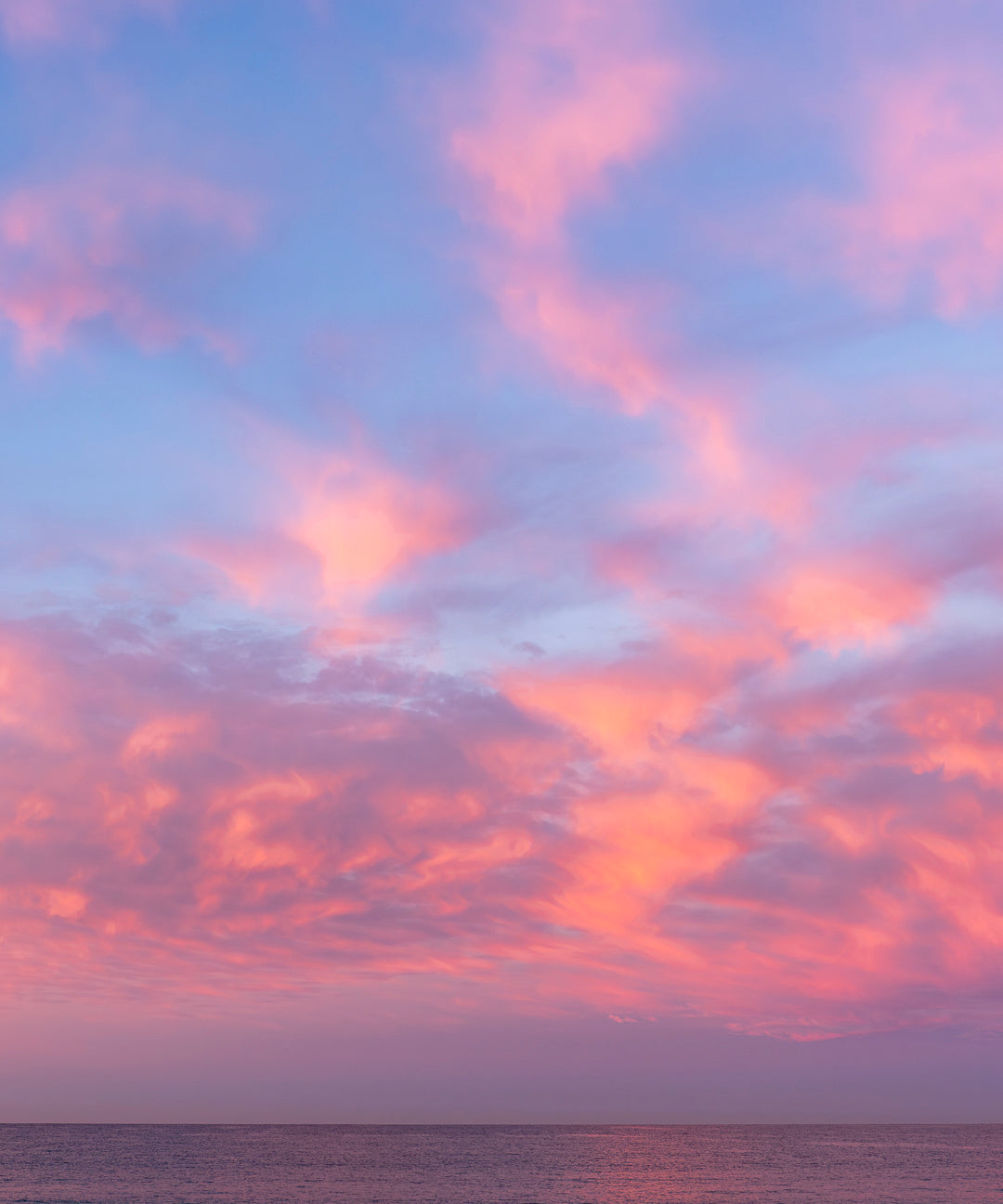 SkyFlamingo2868.jpg