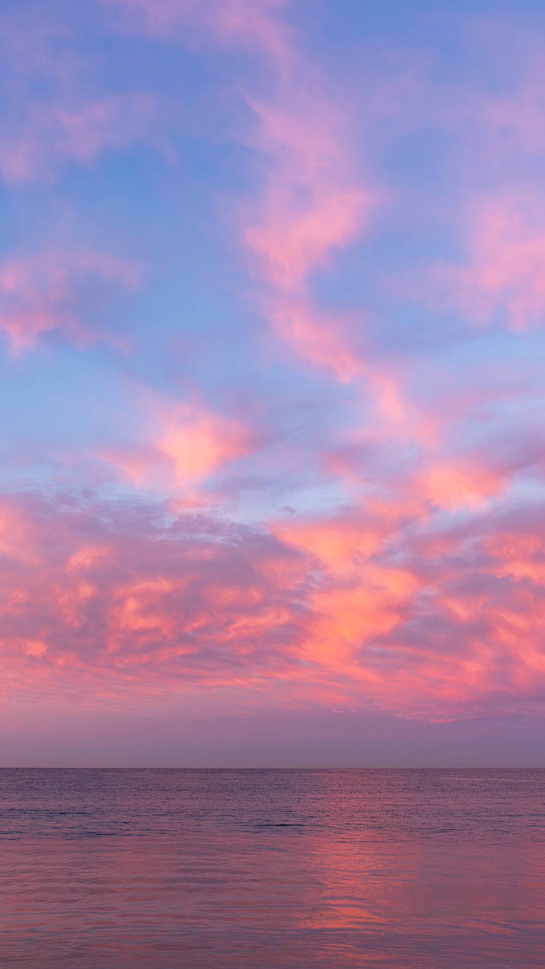 Sky Flamingos Phone Wallpaper
