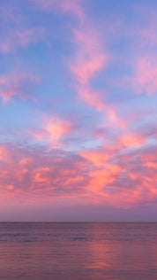 Sky Flamingos Phone Wallpaper