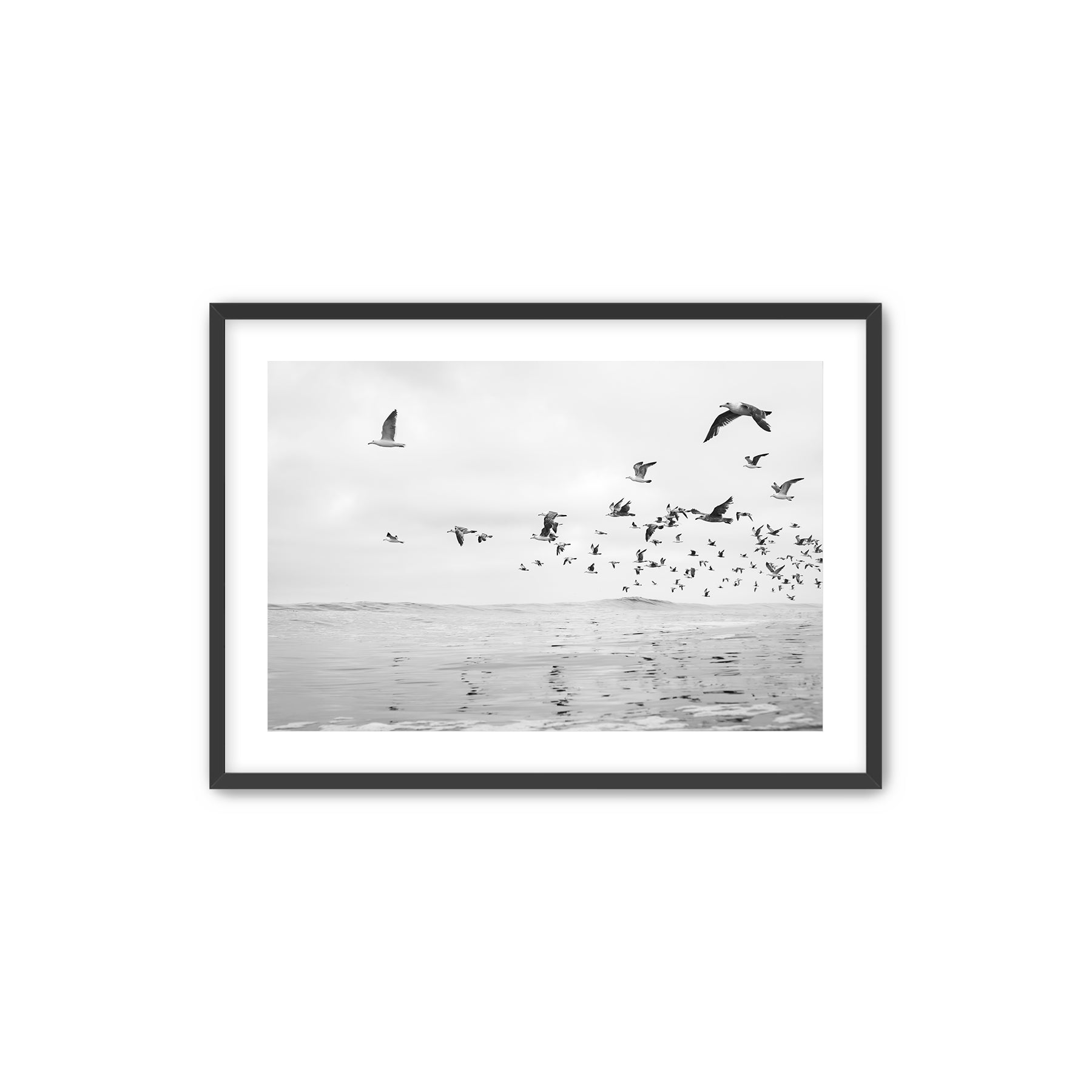 Framed artwork of birds flying over water. Tamarack Beach, Carlsbad, California. 